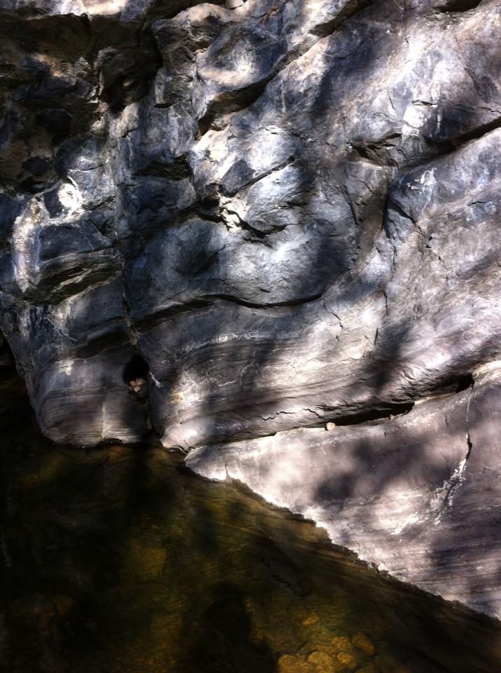 1374074_565898680130254_1425951959_n