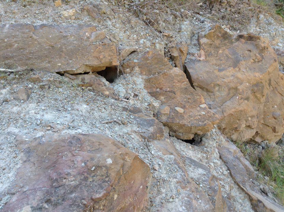 12421404_10201665171348845_1244739455_n