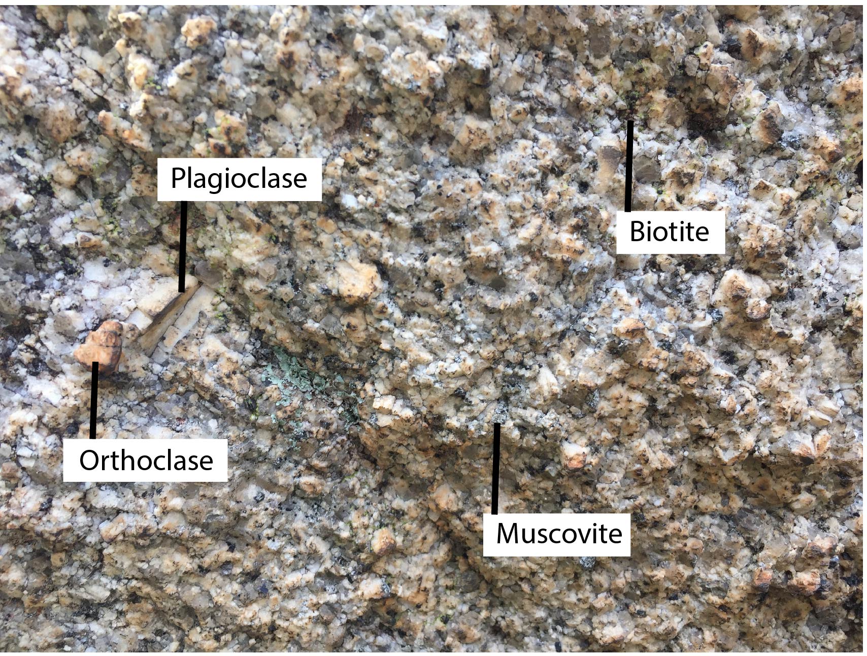 kooyoora granite closeup-02